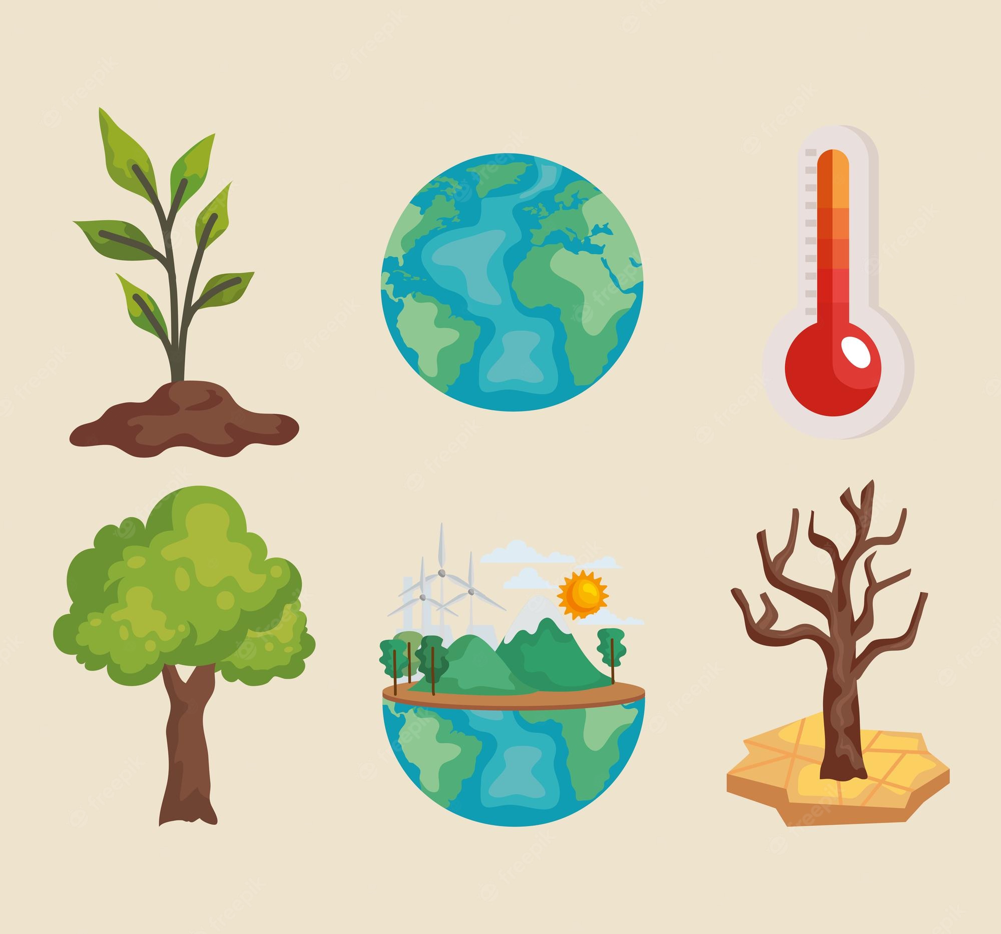 TÓPICOS AMBIENTALES CASOS DE ESTUDIO SUSTENTABLE-2024